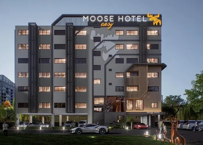 Moose Easy Hotel